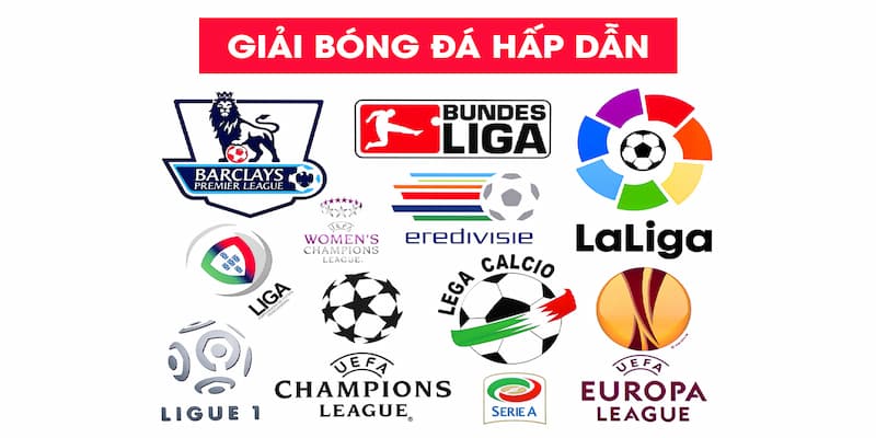 Các giải đấu nổi bật trong làng bóng đá thế giới