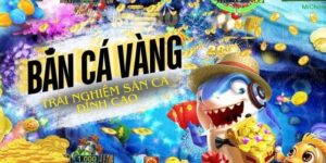 Các chiến thuật bắn cá vàng giúp nâng cao hiệu quả chơi