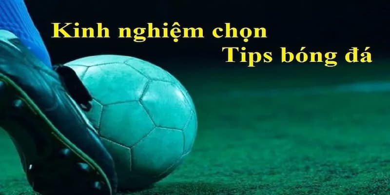 Xu hướng tìm kiếm tip bóng đá và sự ảnh hưởng tới người chơi